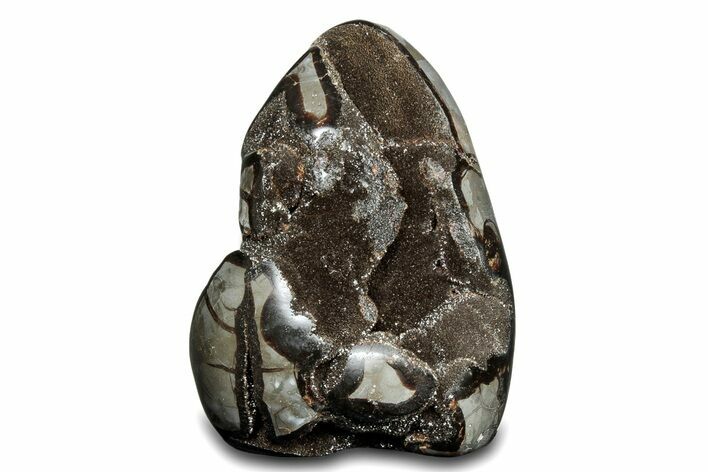Free-Standing, Polished Septarian Geode - Black Crystals #302871